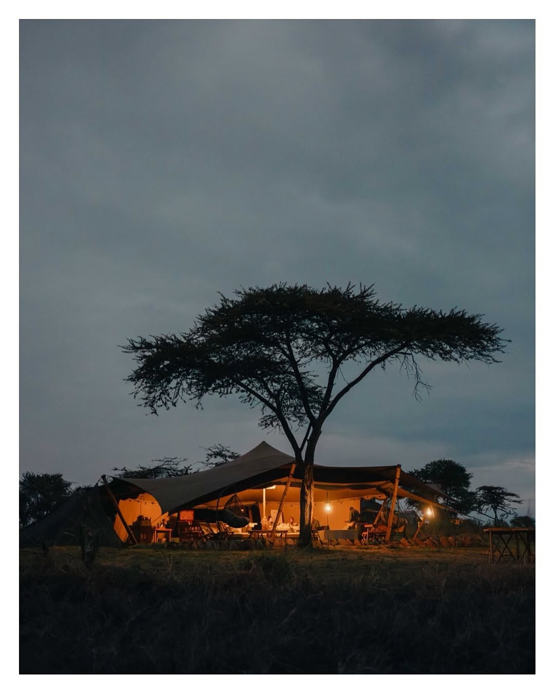 Safaris